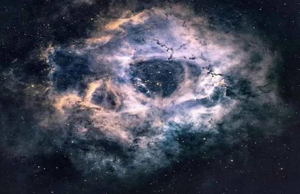 TELEVEN Tu Canal | Conoce la nebulosa Roseta, famosa por su particular  forma de cráneo