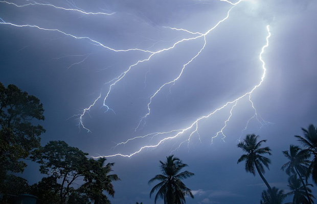 Parque Nacional Ciénagas del Catatumbo