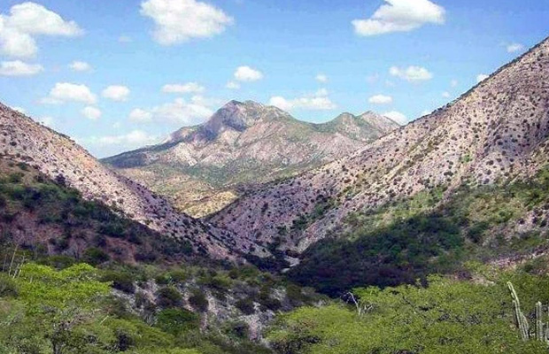 Parque nacional Cerro Saroche