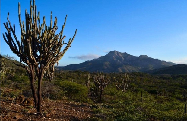 Parque nacional Cerro Saroche