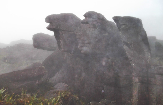 Roraima