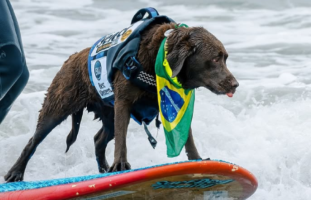 Foto de @thesfpeninsula