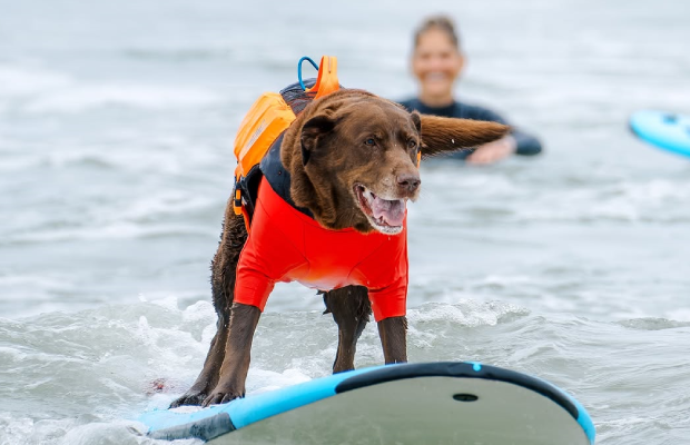 Foto de @thesfpeninsula