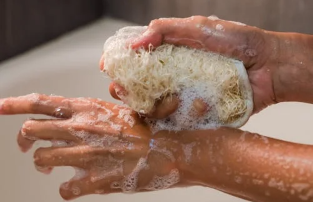esponjas de baño
