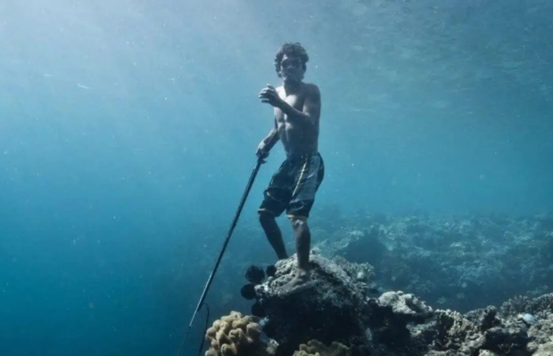 Bajau