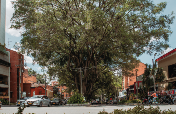 Medellín
