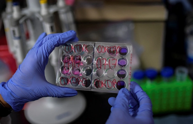 Expertos desarrollaron moléculas para mejorar eficacia de antibióticos