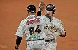 Leones del Caracas