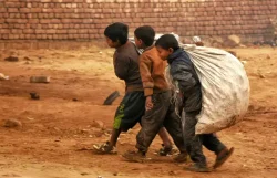 Hambre global afecta a 645 millones de personas, pese a leve descenso registrado en 2025