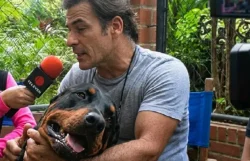 Orión, el perro heroico que salvó vidas durante la Tragedia de Vargas
