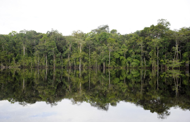 Amazonas