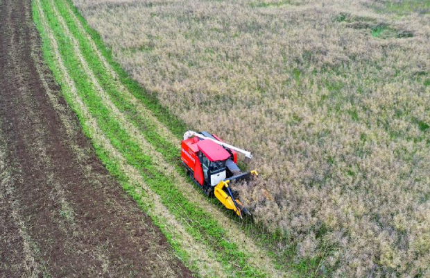 Fedeagro