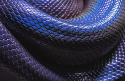 serpiente