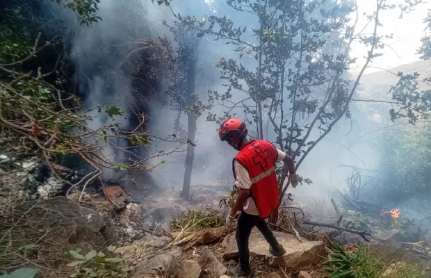 Recuperan cuatro cuerpos tras fatal accidente de helicóptero en Kenia