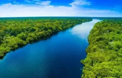 Colombia blindó la Amazonía y frenó concesiones mineras