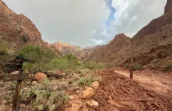 Alerta en el Gran Cañón: Buscan a más de 20 desaparecidos tras inundaciones
