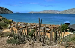Mochima