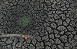OMS instó a reforzar la vigilancia sanitaria ante el impacto de El Niño
